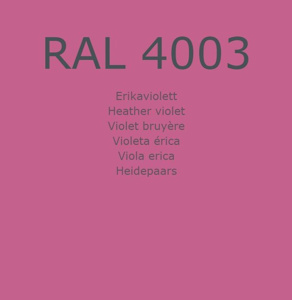 RAL 4003 Erikaviolett