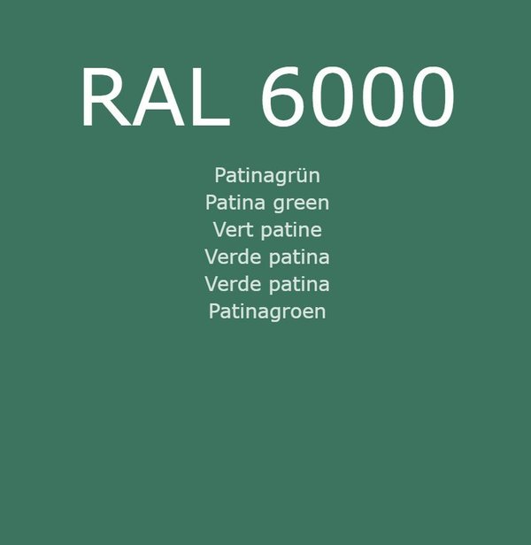 RAL 6000 Patinagrün
