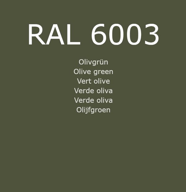 RAL 6003 Olivgrün