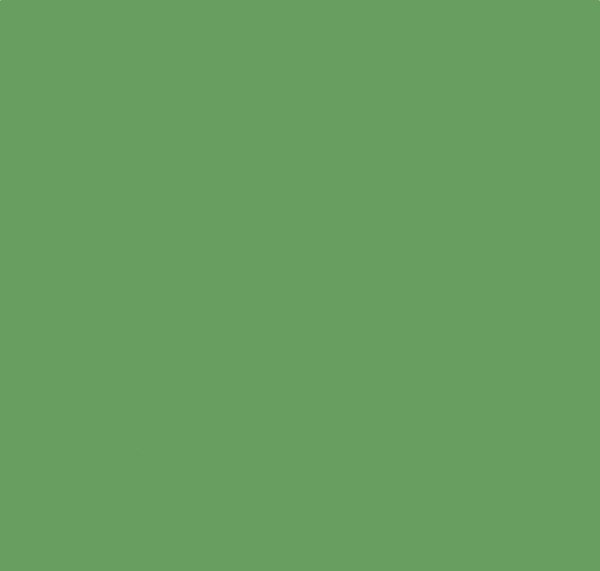 Ford Lichen Green (AS)