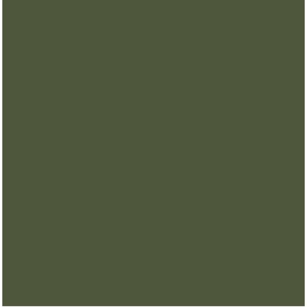 BS220 Olive Green
