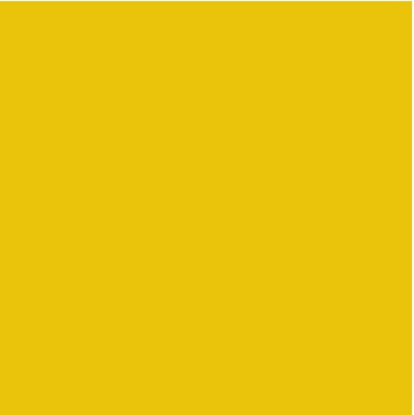 BS309 Canary Yellow